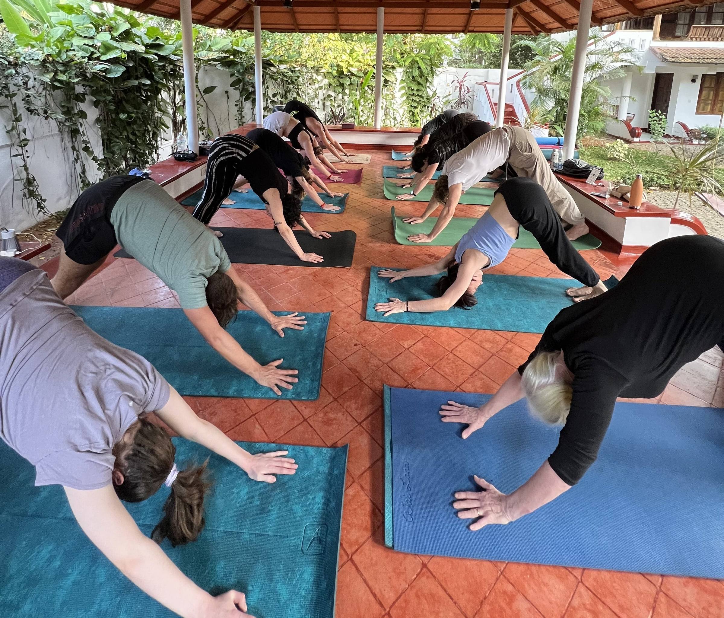 A group holding downward-facing dog on blue mats in the open pavilion