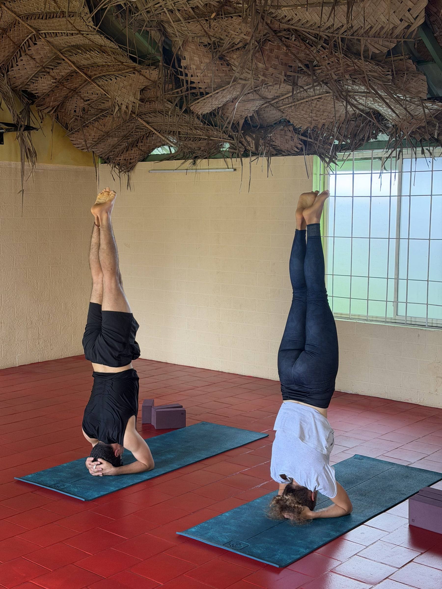 Two students holding headstands side by side in the indoor shala